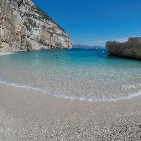 Apartment Holiday Selvaggio Blu *